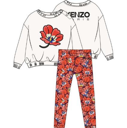 Комплект (толстовка и брюки)