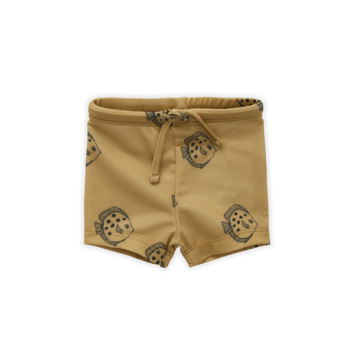 Шорты для плавания