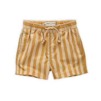 Шорты для плавания