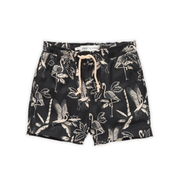 Шорты для плавания