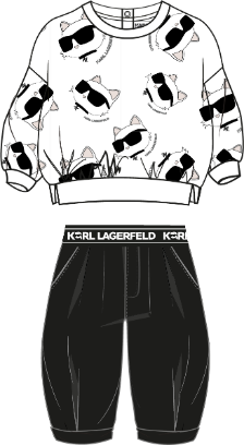 Костюм (толстовка, брюки)