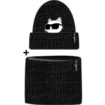 Комплект (шапка, снуд)