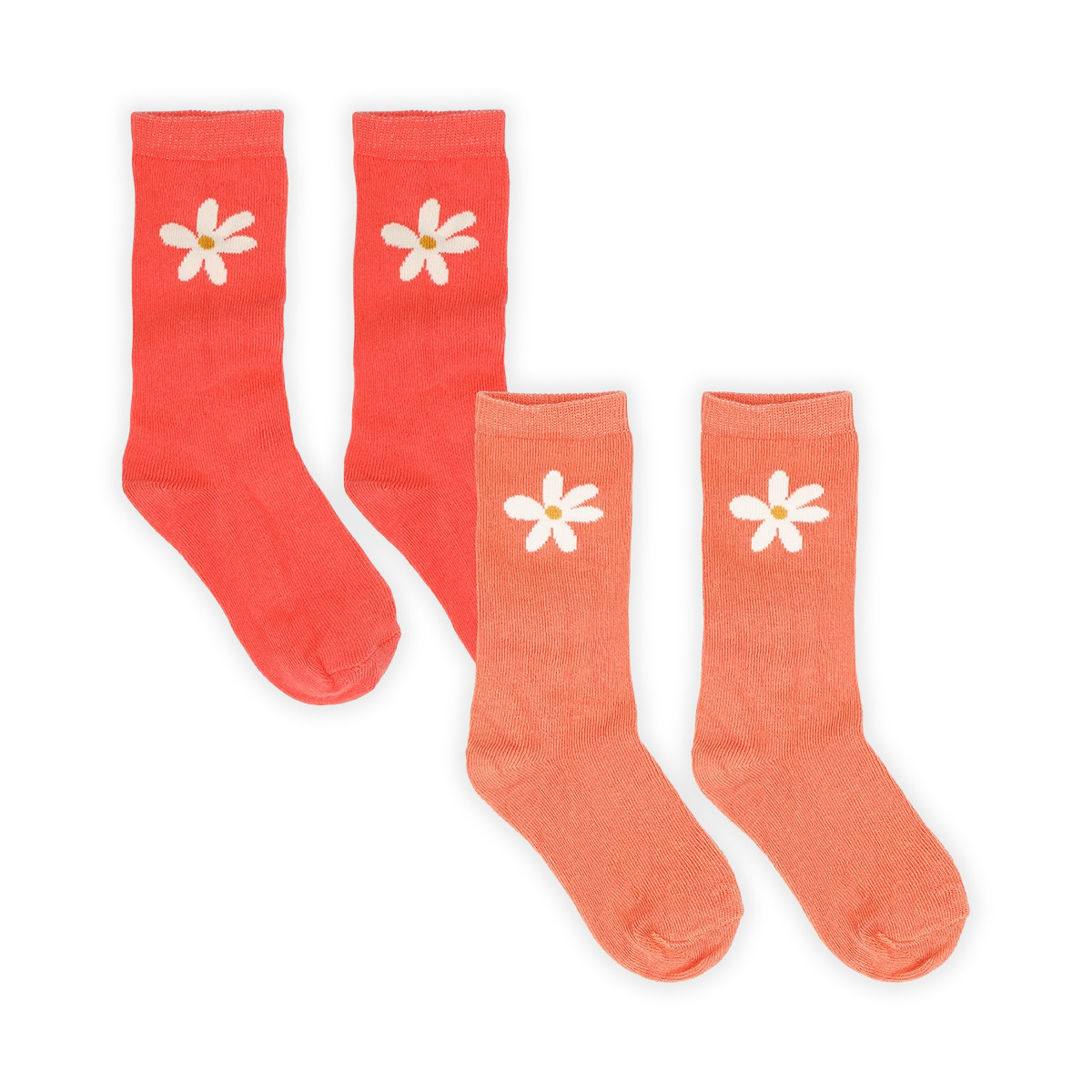 Носки 2 пары