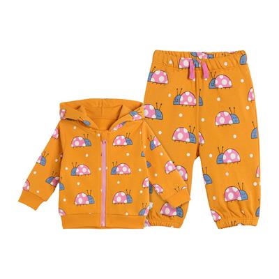 Толстовка, брюки