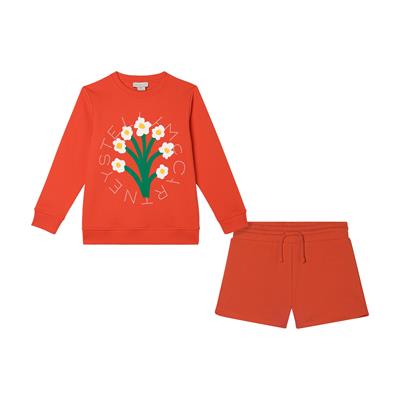 Толстовка, шорты