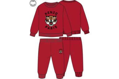 Костюм ( толстовка, брюки)