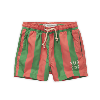 Шорты для плавания