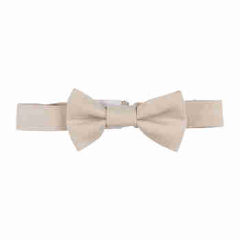 Галстук-бабочка