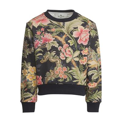 Толстовка